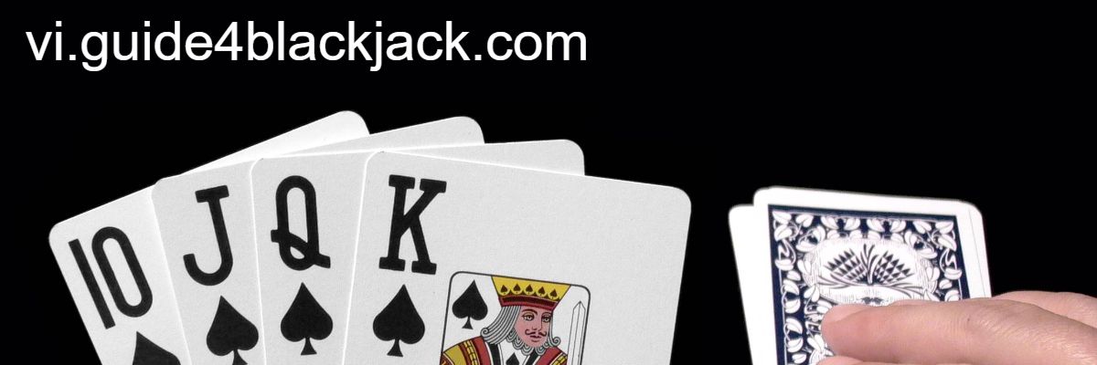 vi.guide4blackjack.com